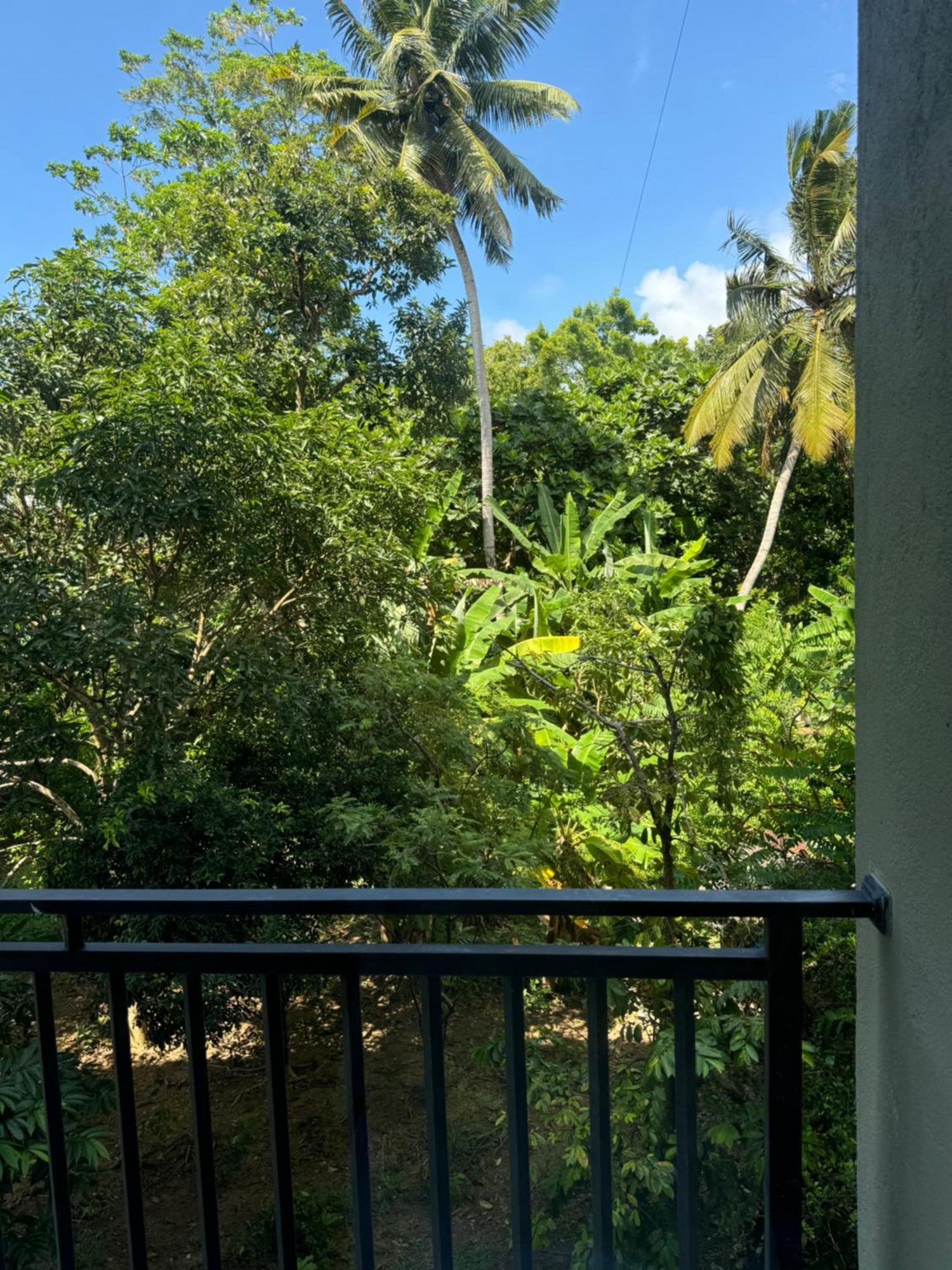 Sapiens Home - Weligama Bay Eksteriør bilde