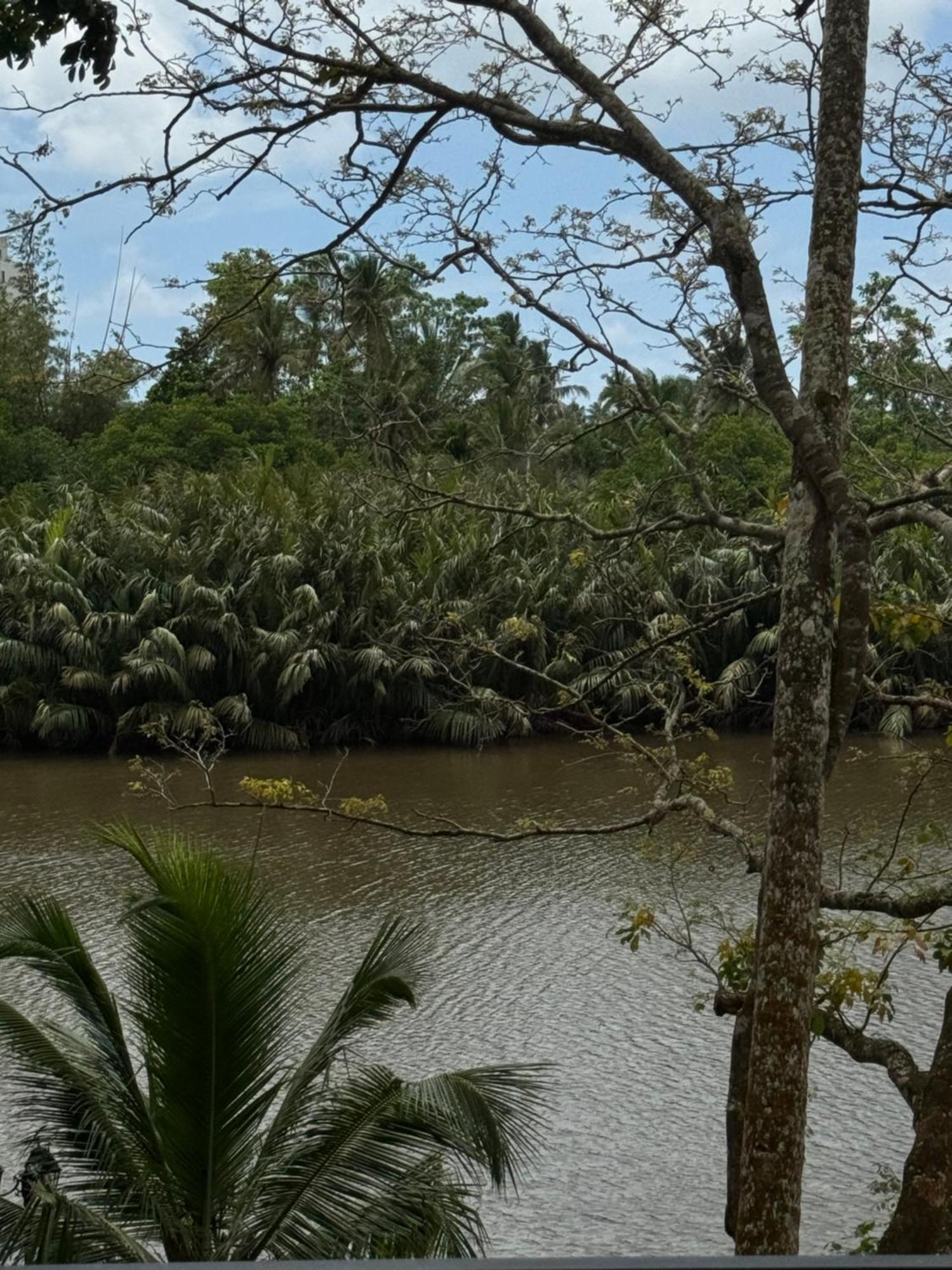 Sapiens Home - Weligama Bay Eksteriør bilde